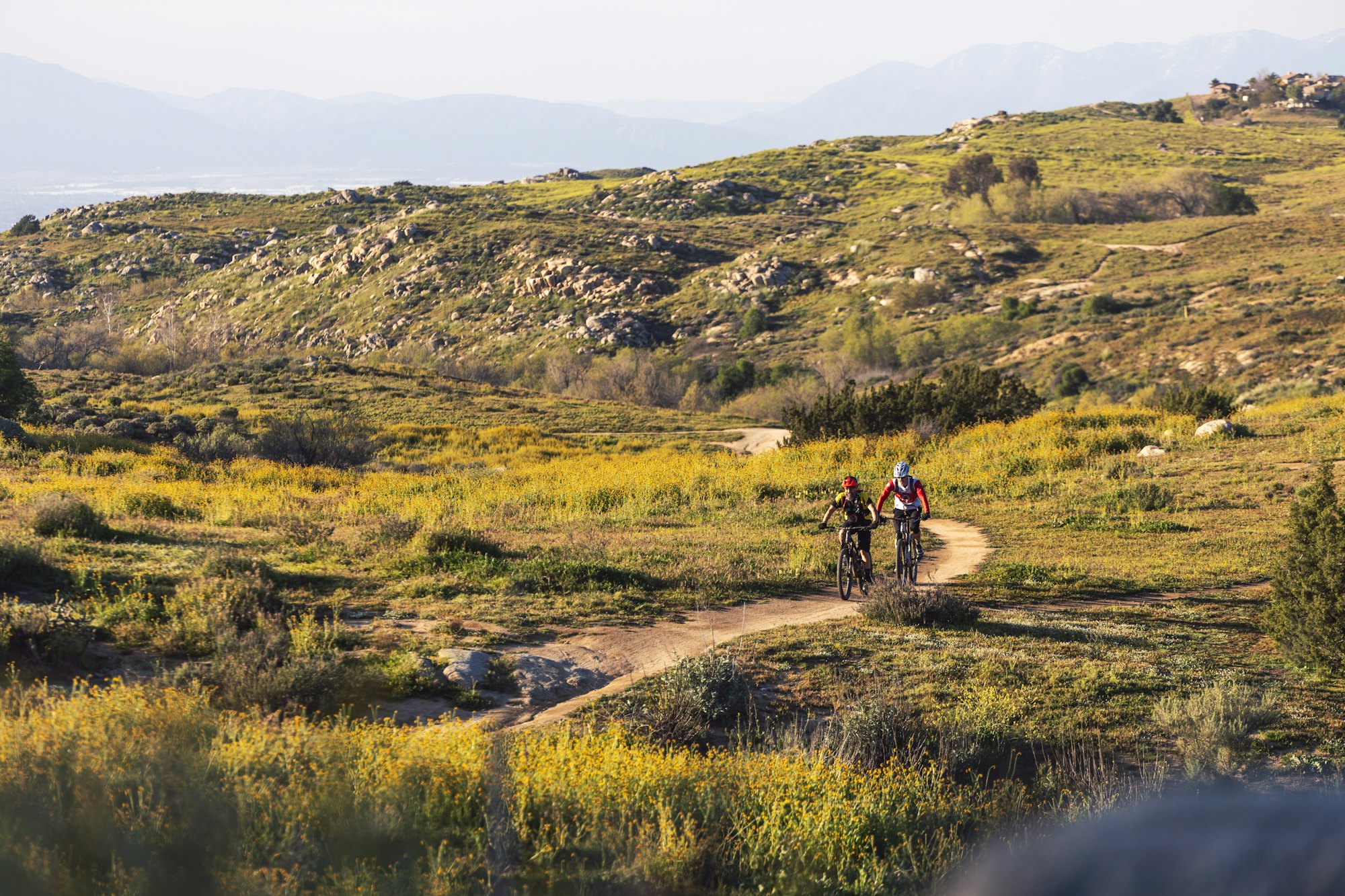 Pic of Mountain Bikers Riding a Trail