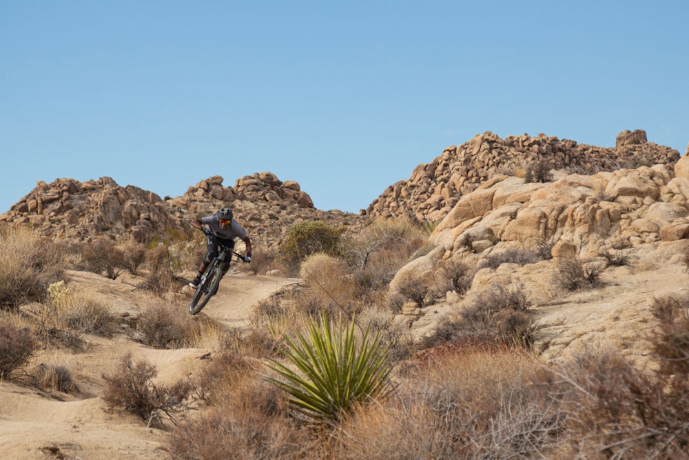Cross-Country vs. Trail Mountain Bikes - Understanding the Differences
