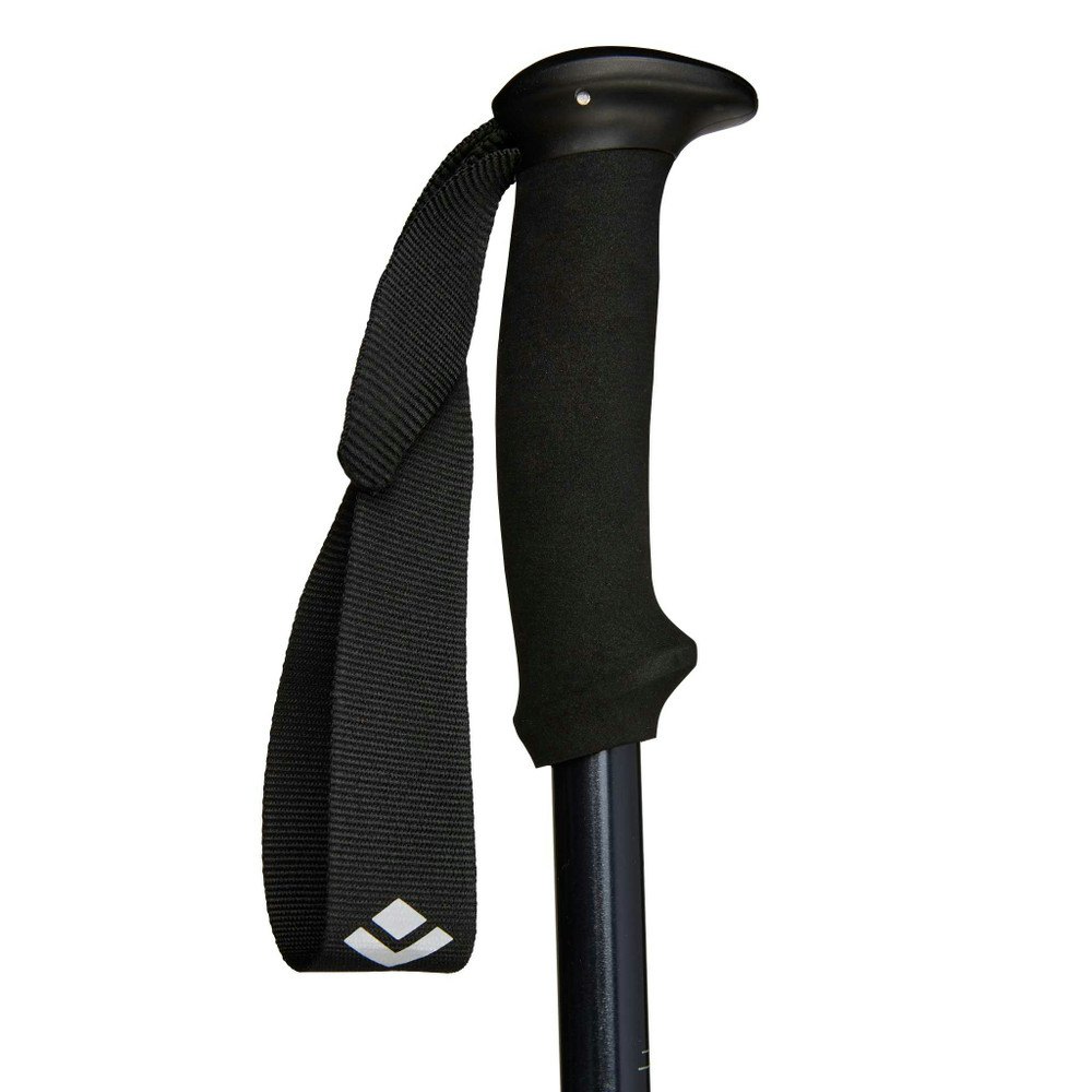 Black Diamond EXPLORER 2 Trekking Poles