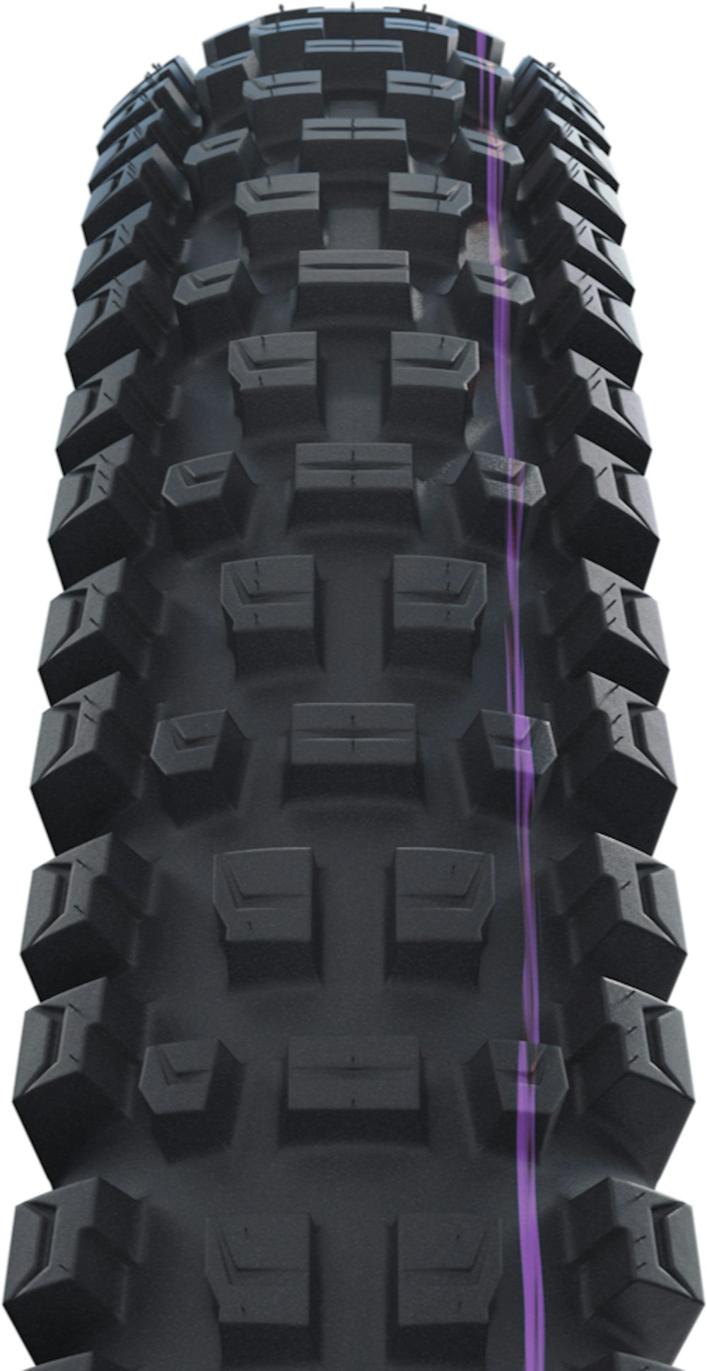 Schwalbe Albert Trail Pro 29" Tire