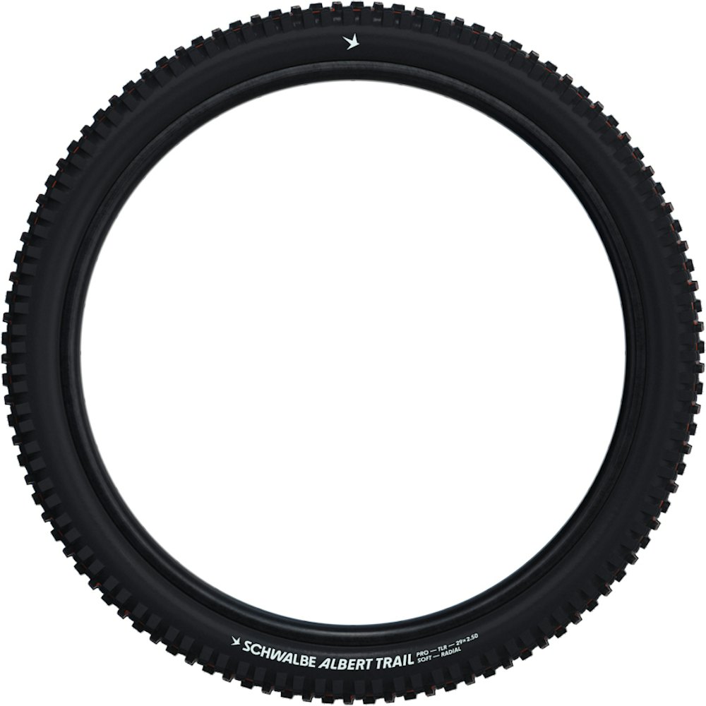 Schwalbe Albert Trail Pro 29" Tire