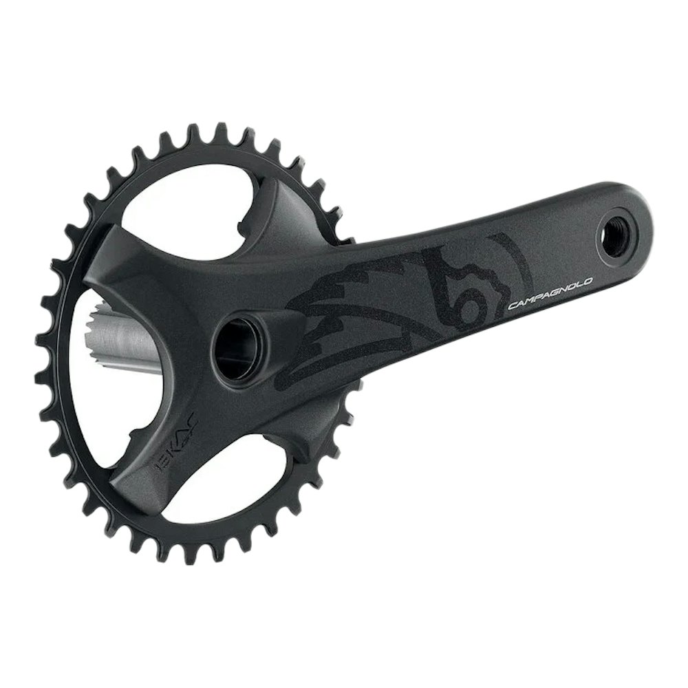 Campagnolo EKAR GT Crankset