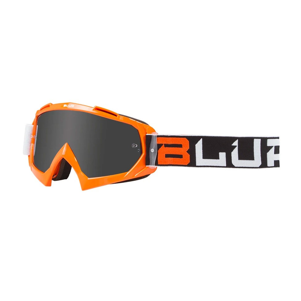 BLUR B-10 2Face Goggles