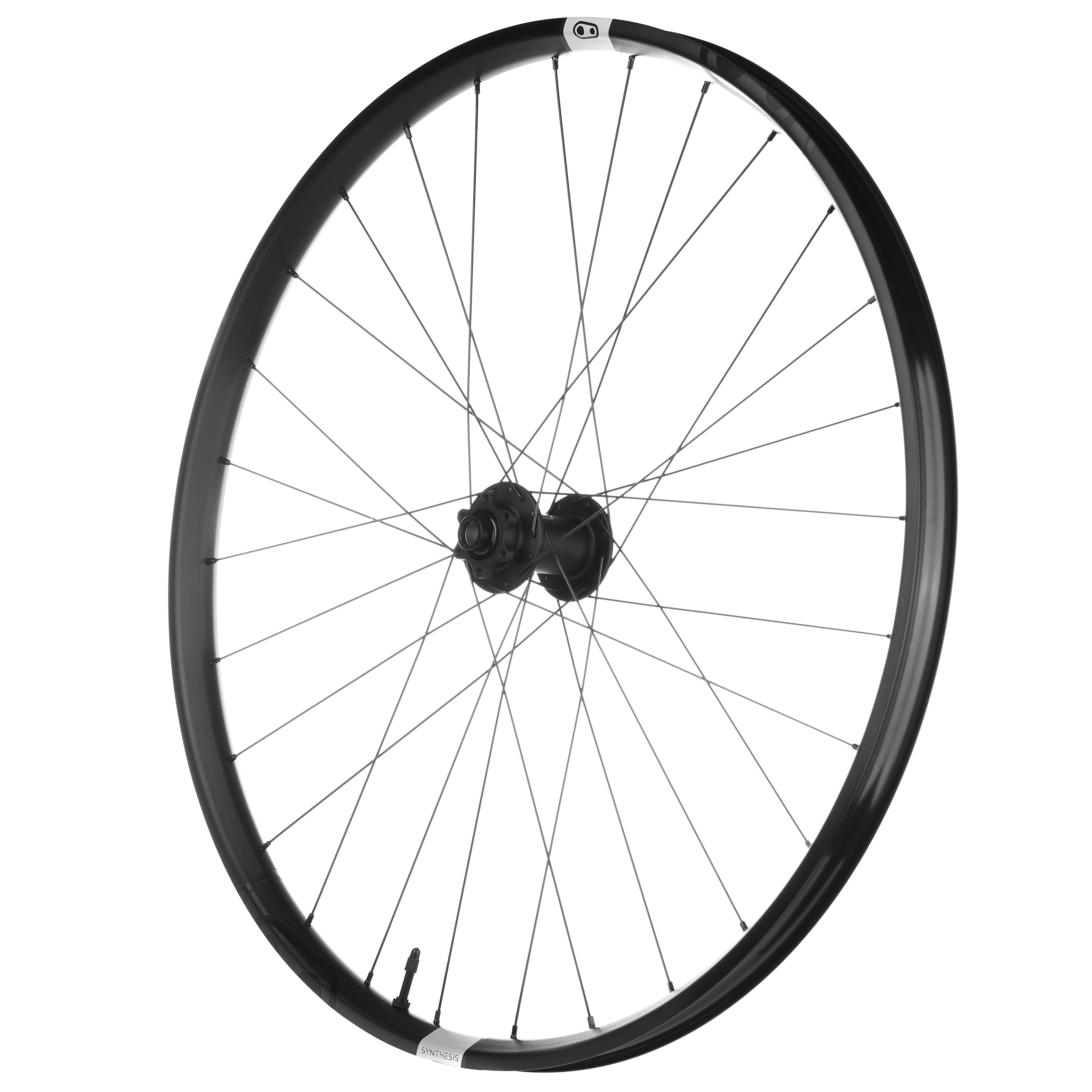 12 speed rear wheel