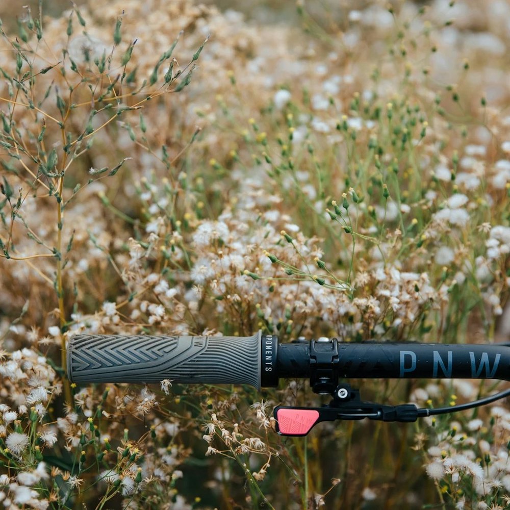 PNW Loam Grips