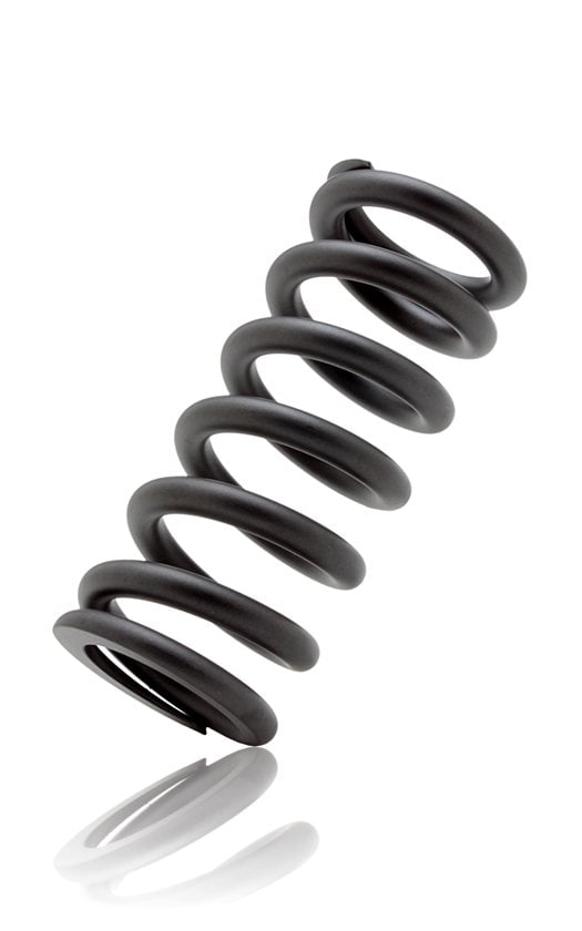 rockshox springs