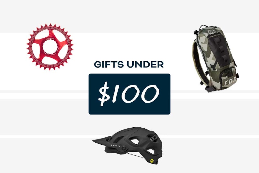 Gifts Under $100