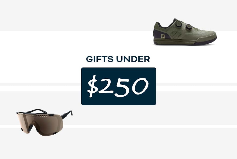 Gifts Under $250