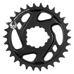 Photo of a Chainring